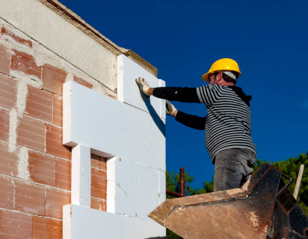 Best Residential Insulation in Abbeville, LA