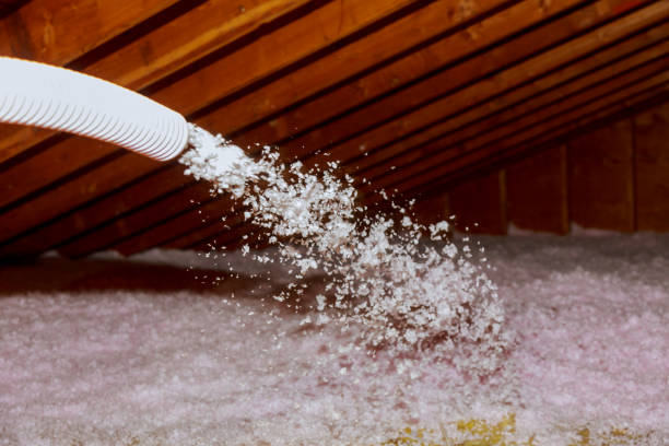 Best Insulation Installation Services in Abbeville, LA