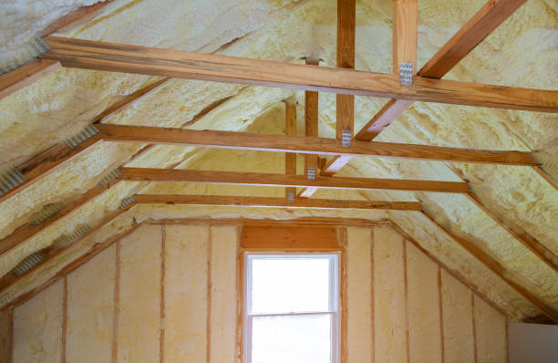 Best Insulation Maintenance and Repair in Abbeville, LA