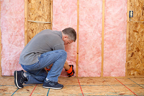Best Types of Insulation in Abbeville, LA
