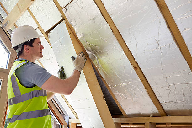 Best Commercial Insulation in Abbeville, LA